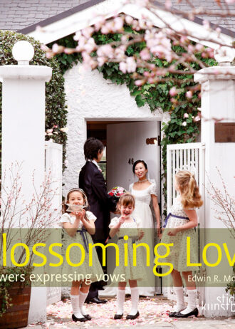 cover_blossoming_1
